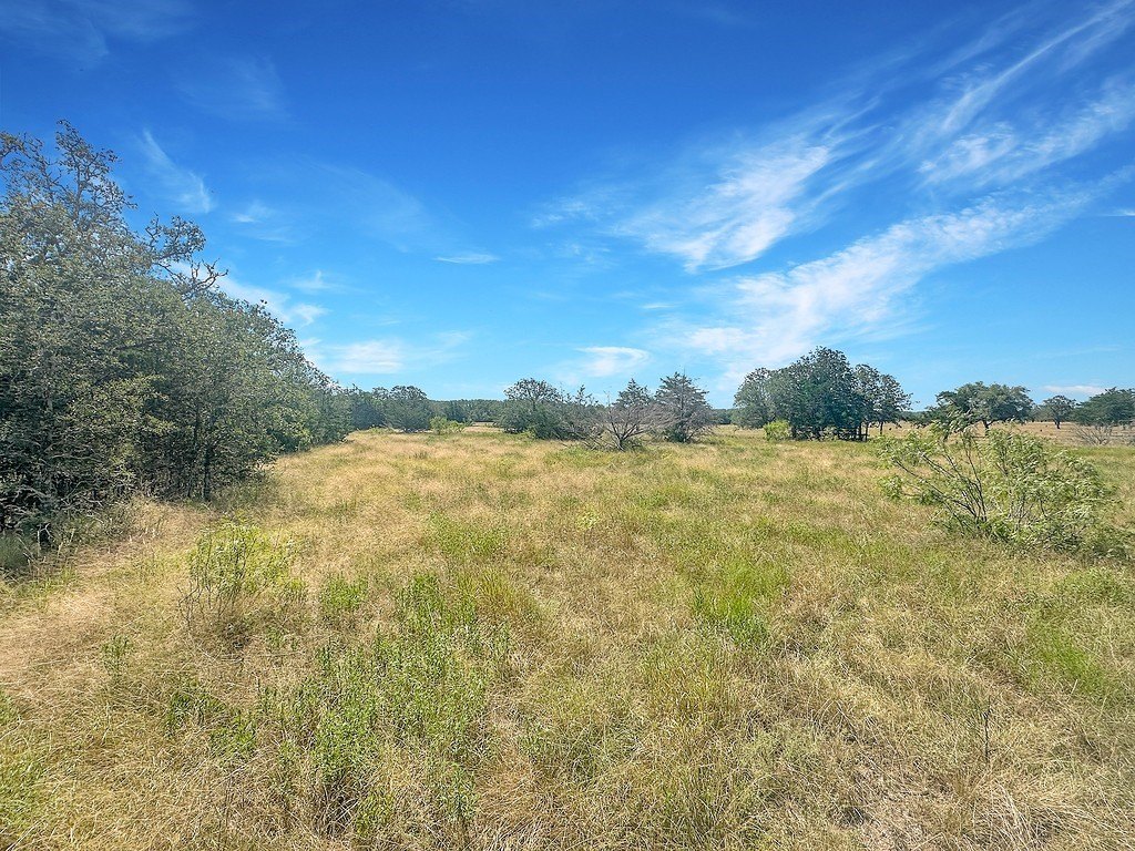Picture 21