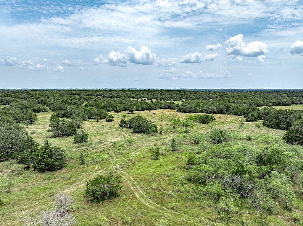 Picture 23