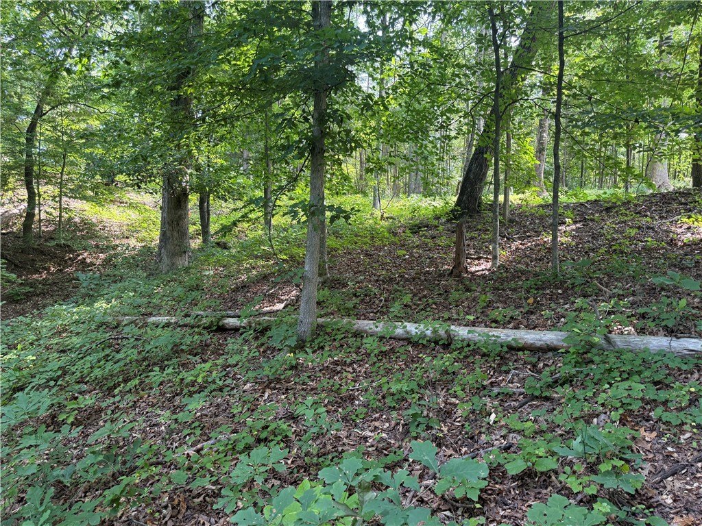 Picture 22