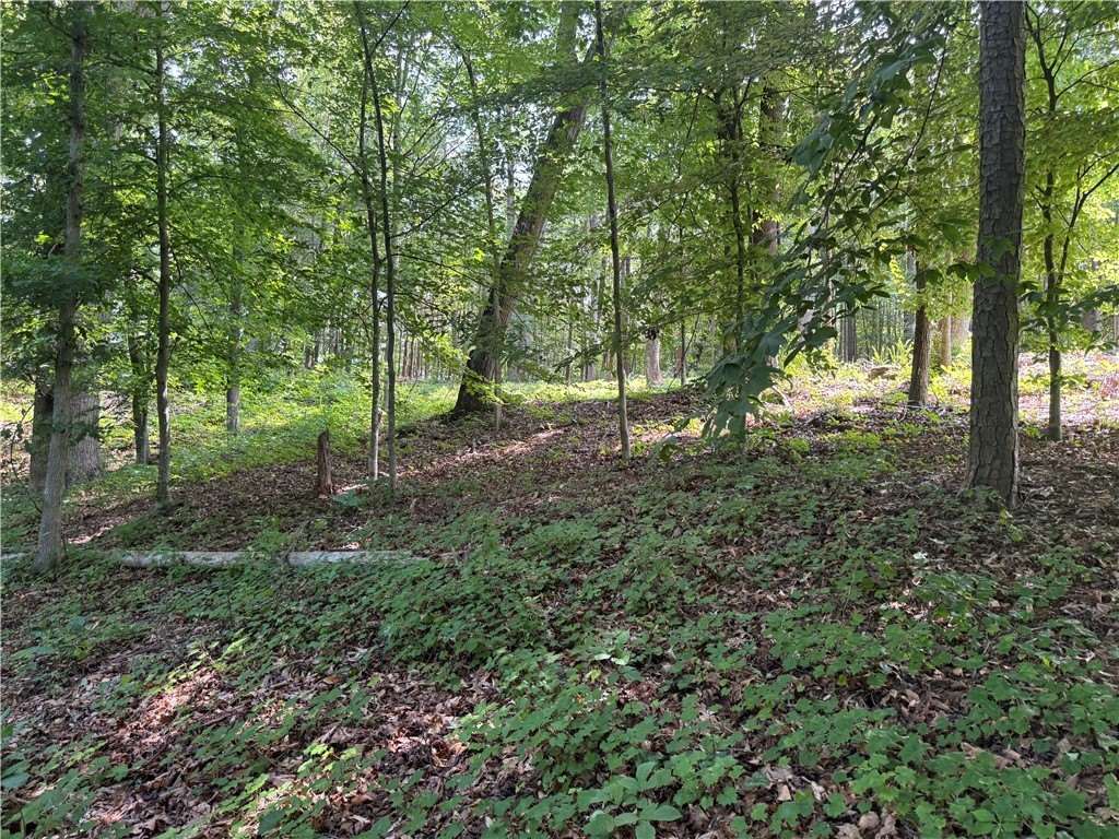 Picture 17