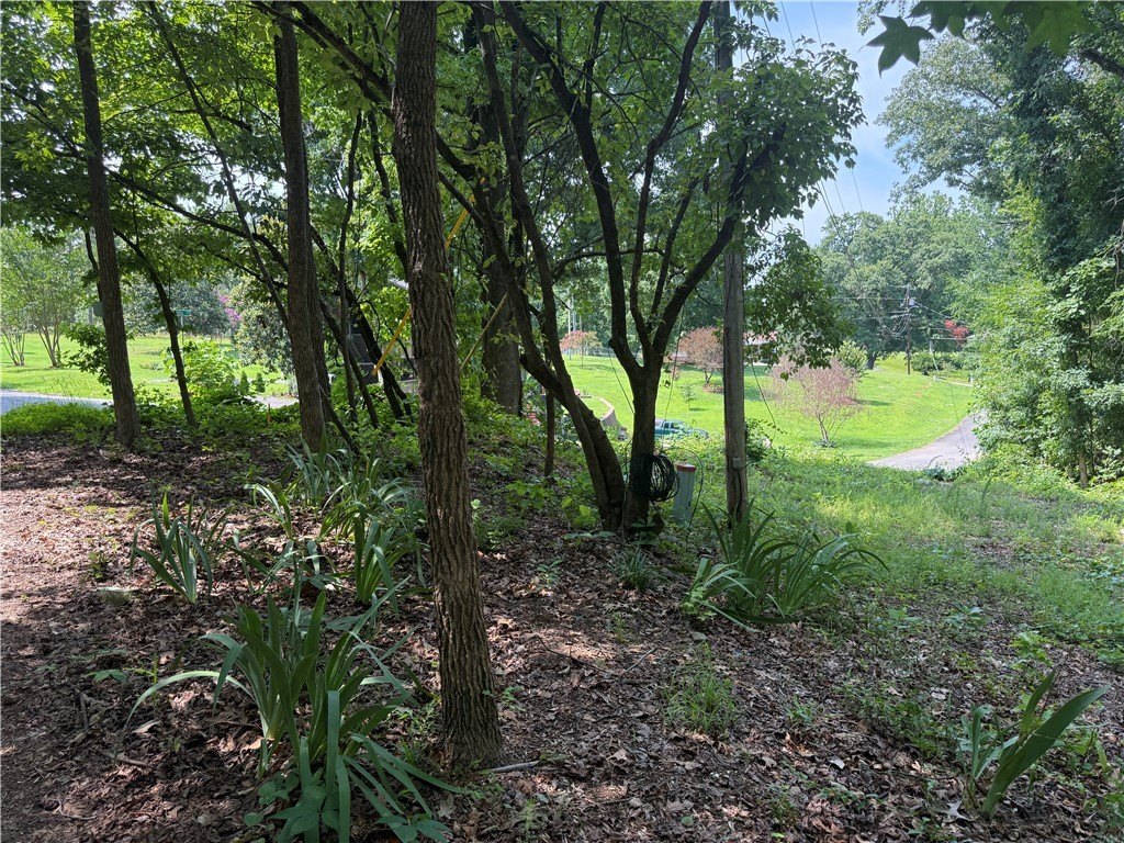 Picture 23