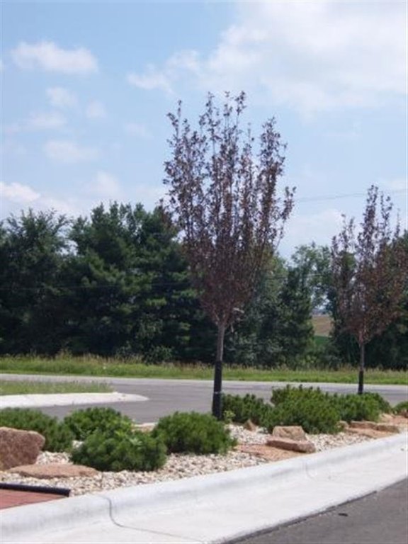 Picture 12