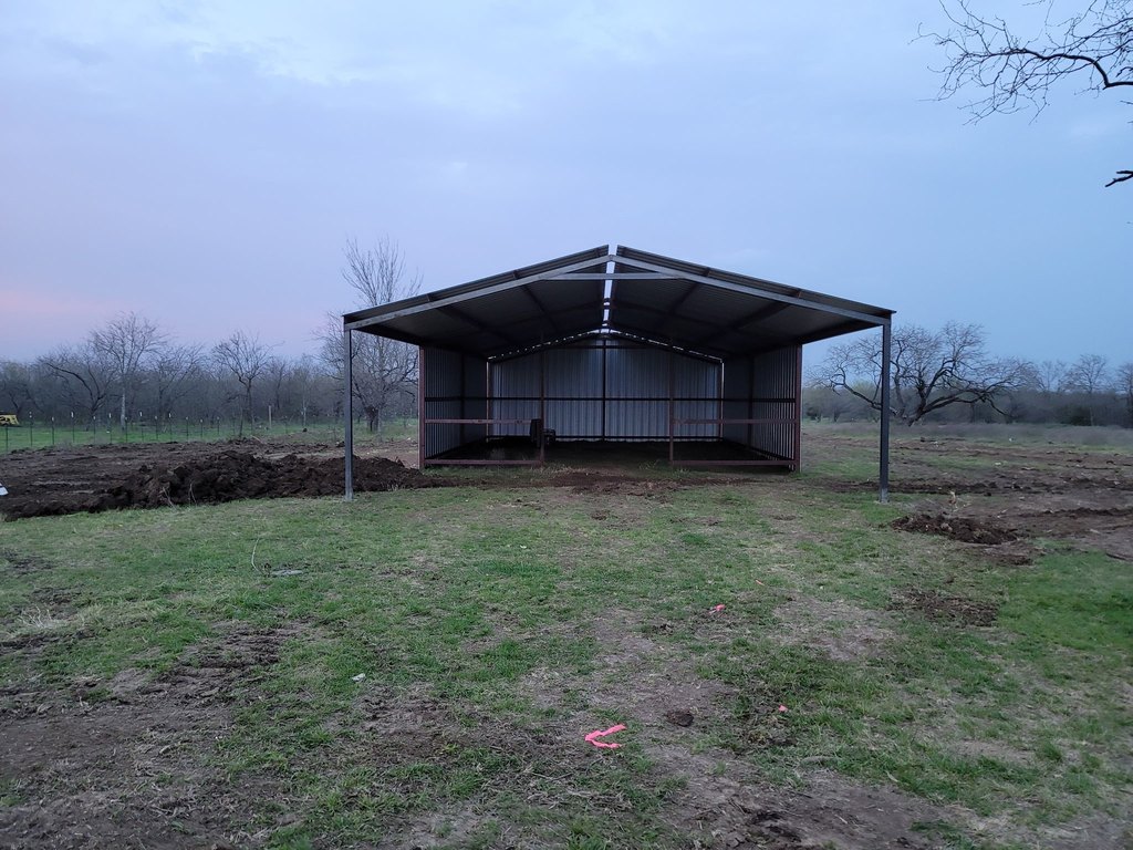 Picture 5