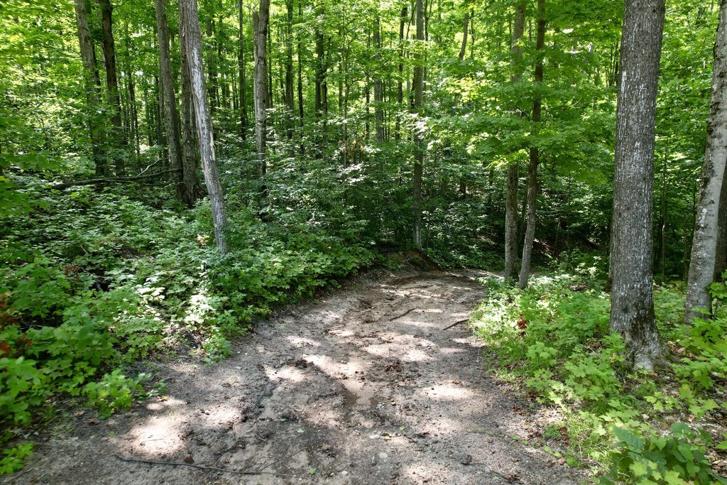 Picture 7