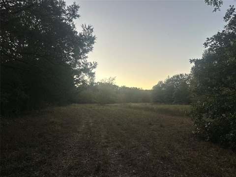 Land in Peaceful Cooper, TX