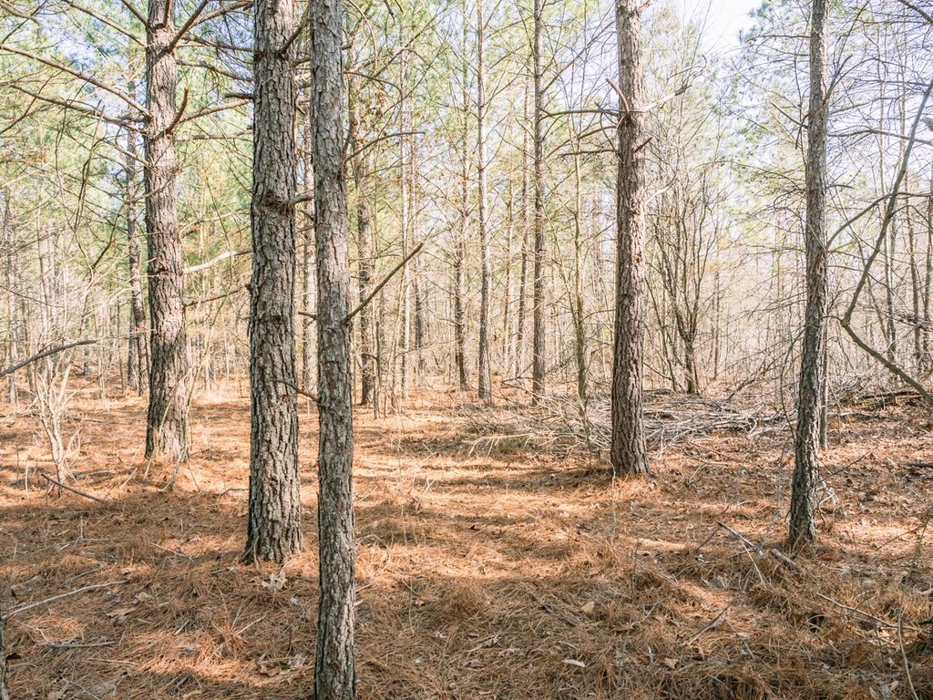 Picture 16