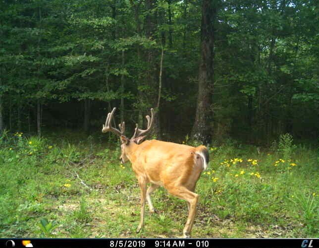 Picture 38