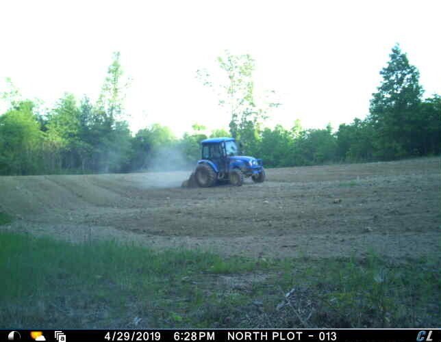 Picture 22