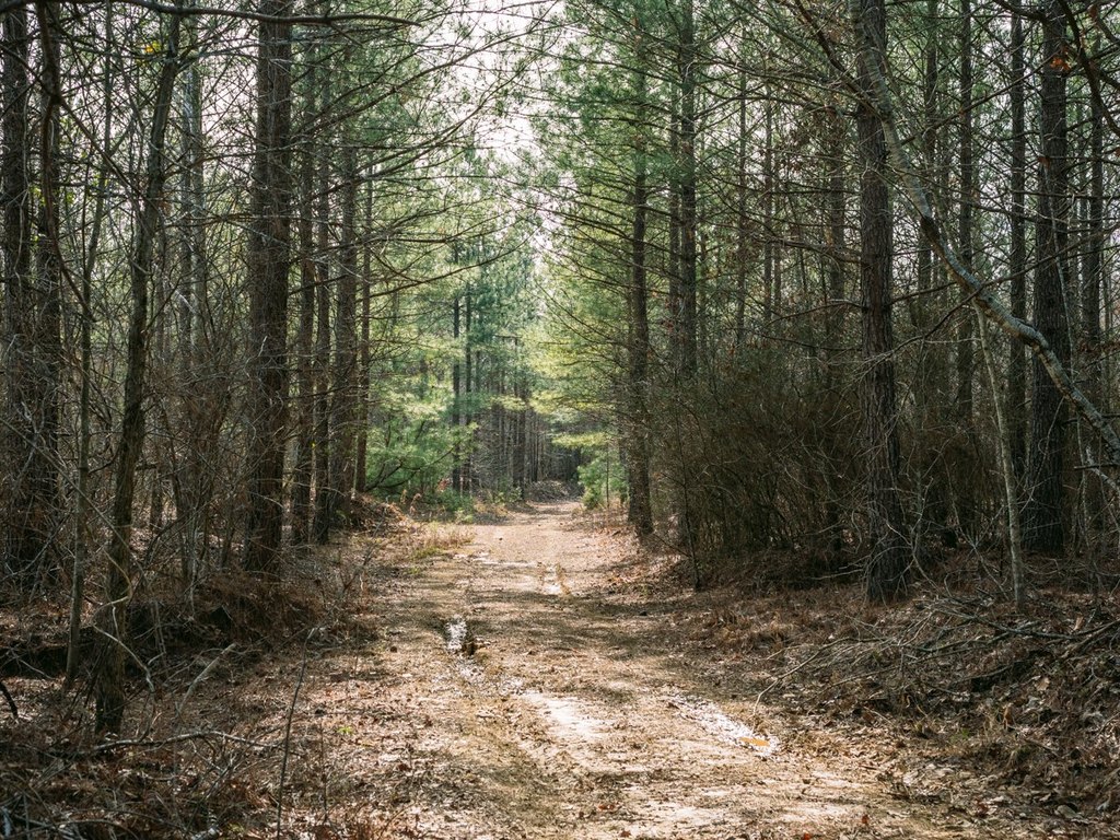Picture 19