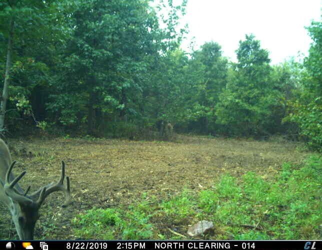 Picture 25