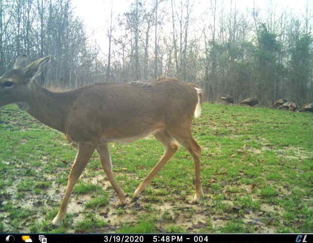 Picture 30