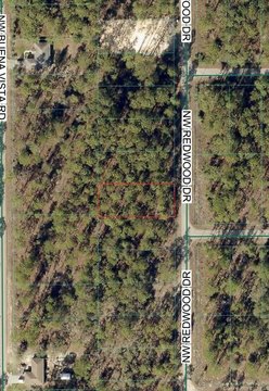 Wooded Lot in Dunnellon, FL
