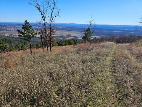 Recreational Hunting Land with Deer Stand