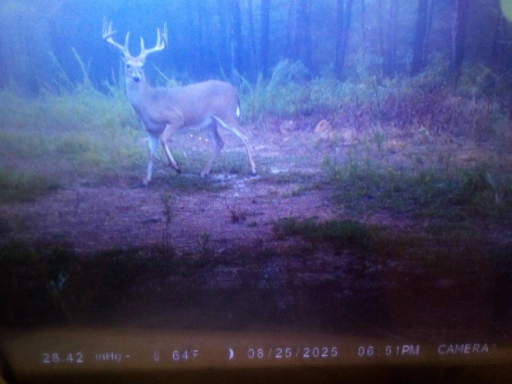 Picture 13