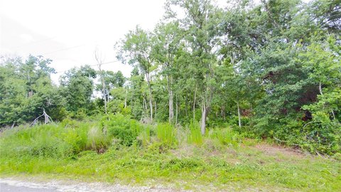 Platted Residential Lot with Frontage