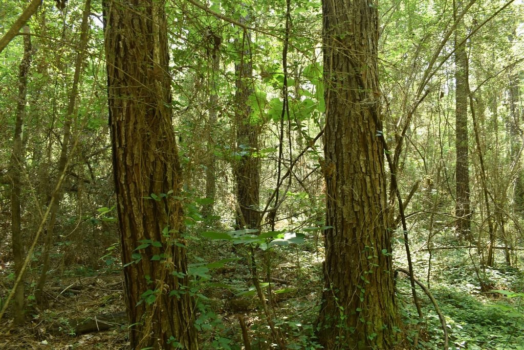 Picture 5