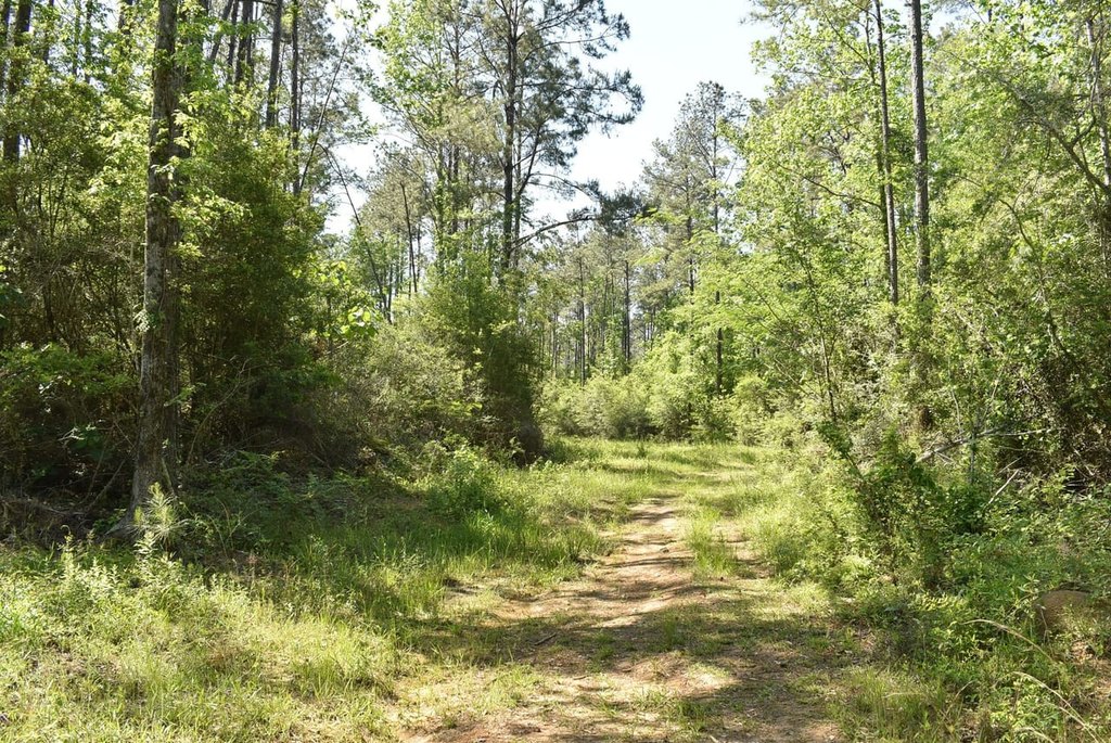 Picture 20