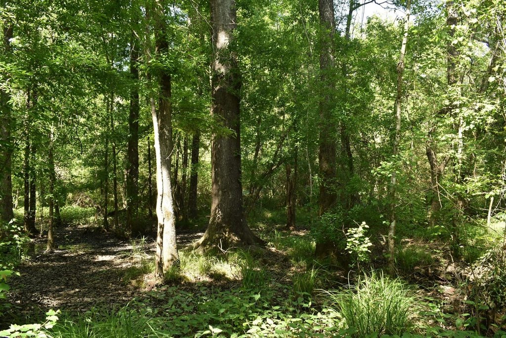 Picture 19