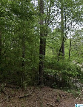 LAND/LOTS, BIRMINGHAM, AL