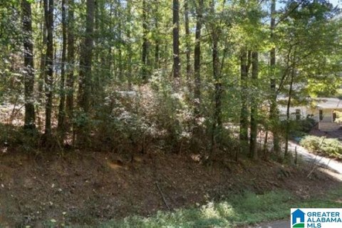 LAND/LOTS, BIRMINGHAM, AL