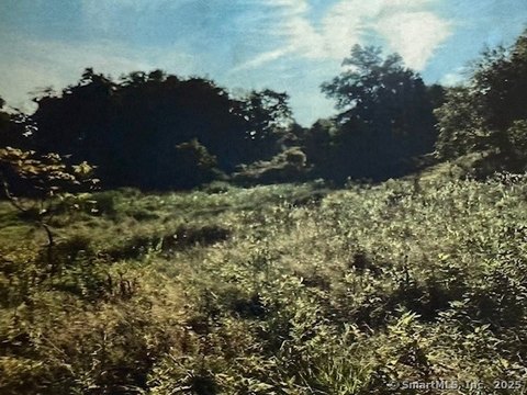 Wallingford Land Subdivision Opportunity