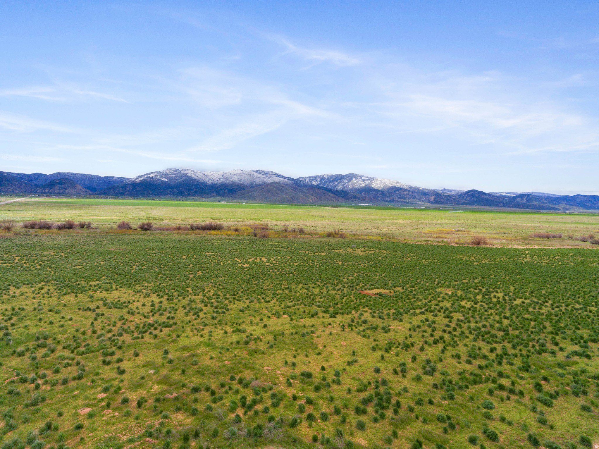 Ready-to-Build 5-Acre Lot