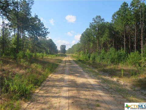 East Texas Multi-Use Land