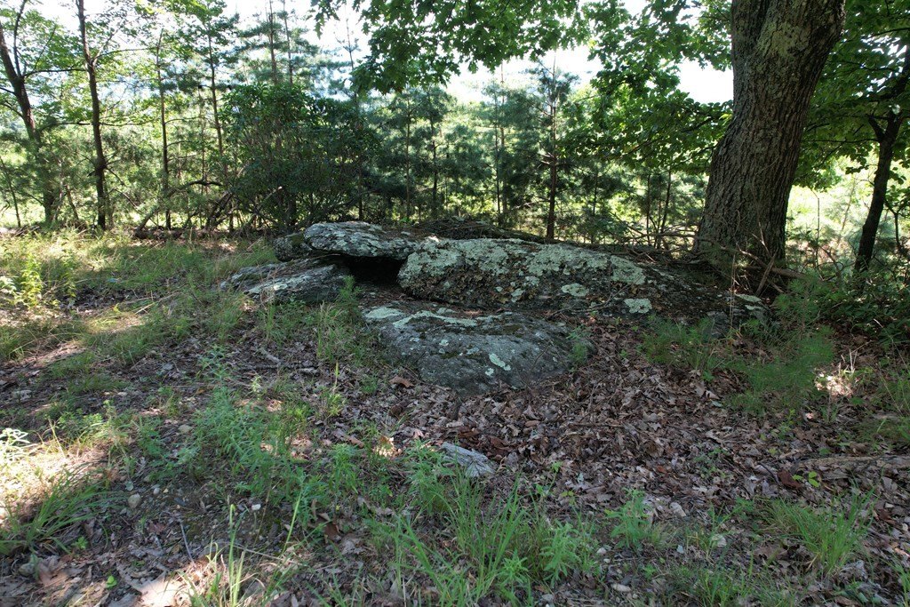 Picture 14
