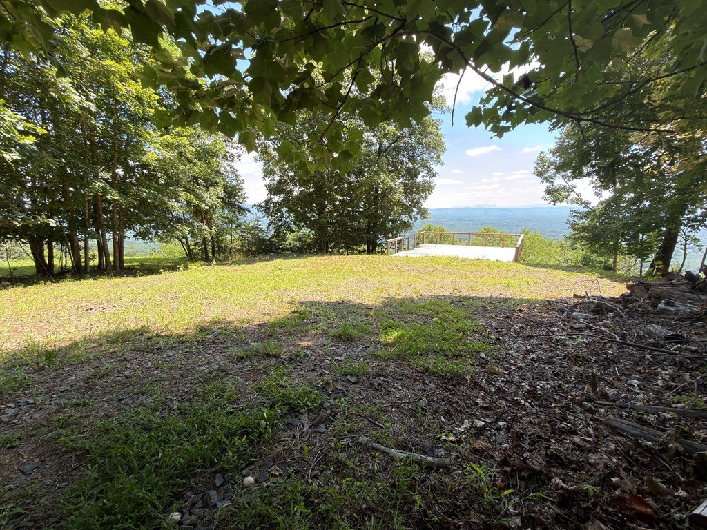 Picture 17