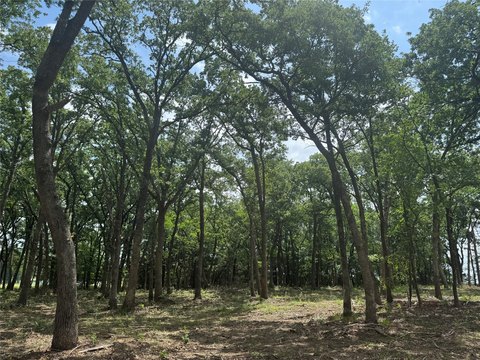 Residential Homesite in Spout Springs