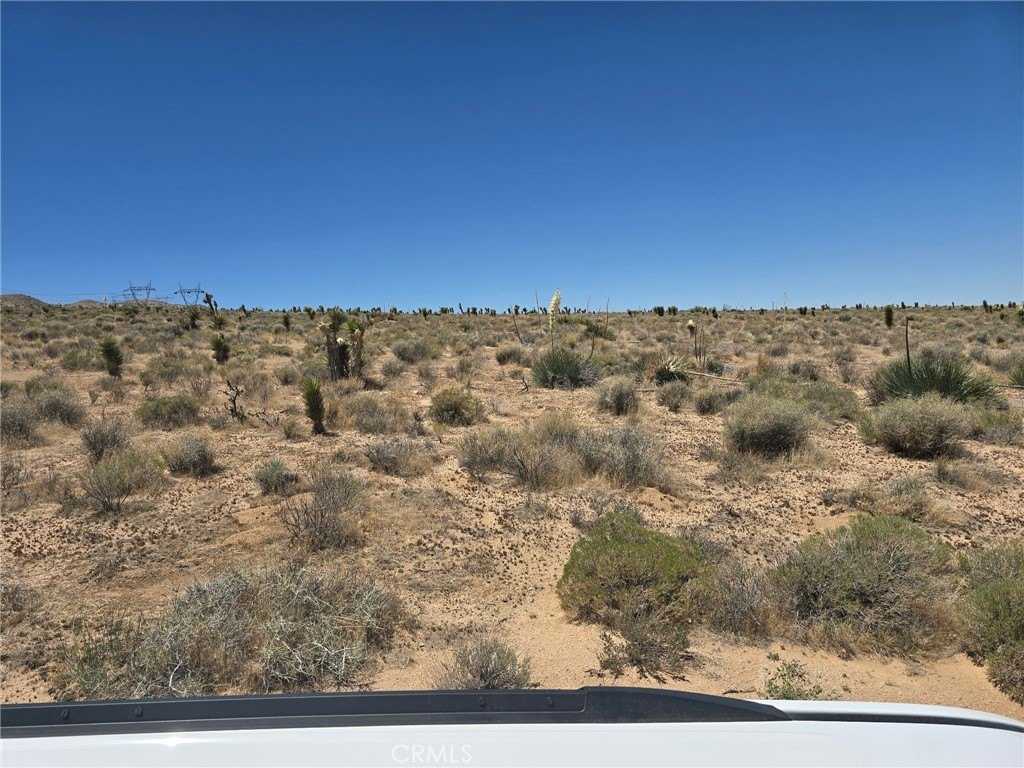 Picture 6