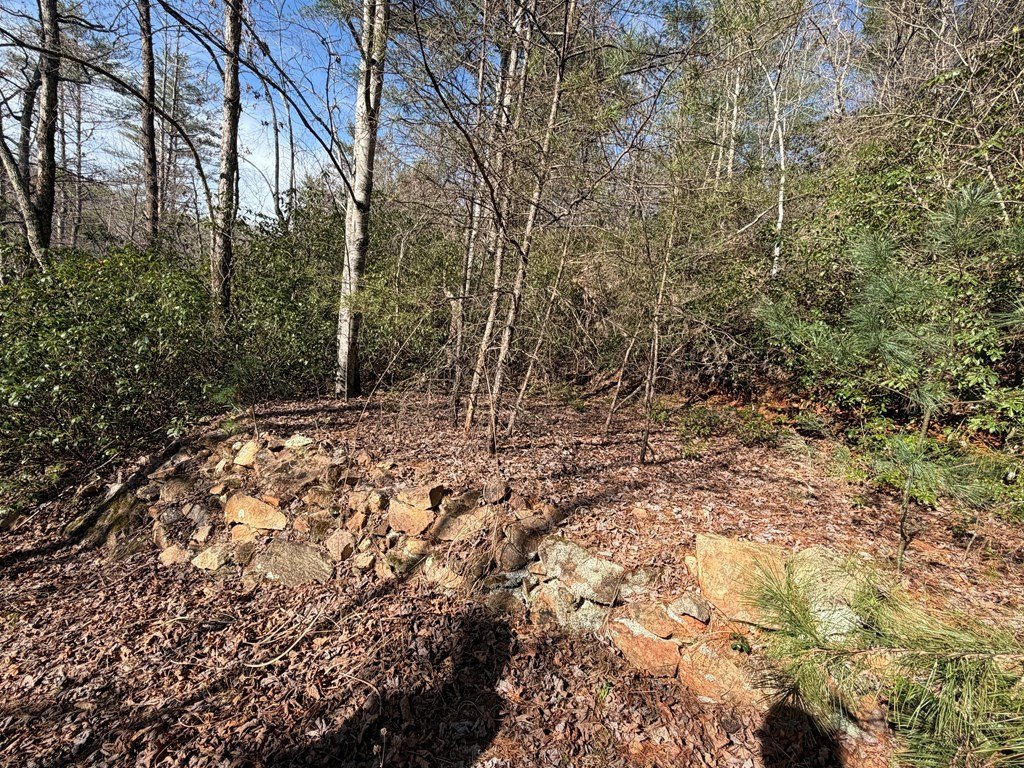 Picture 12