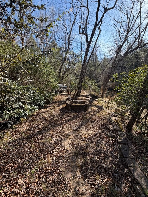 Picture 8