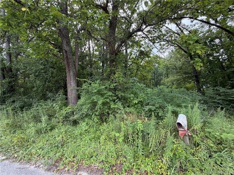 Commercial Land on Highway 311