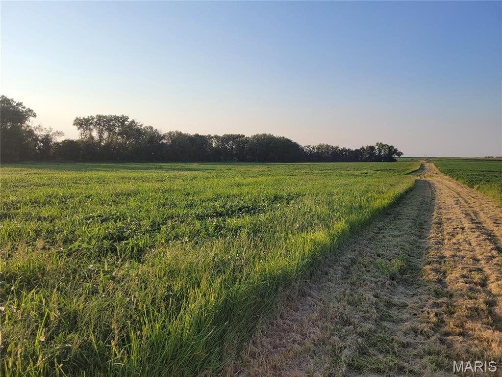 Bellflower Farm Land For Sale