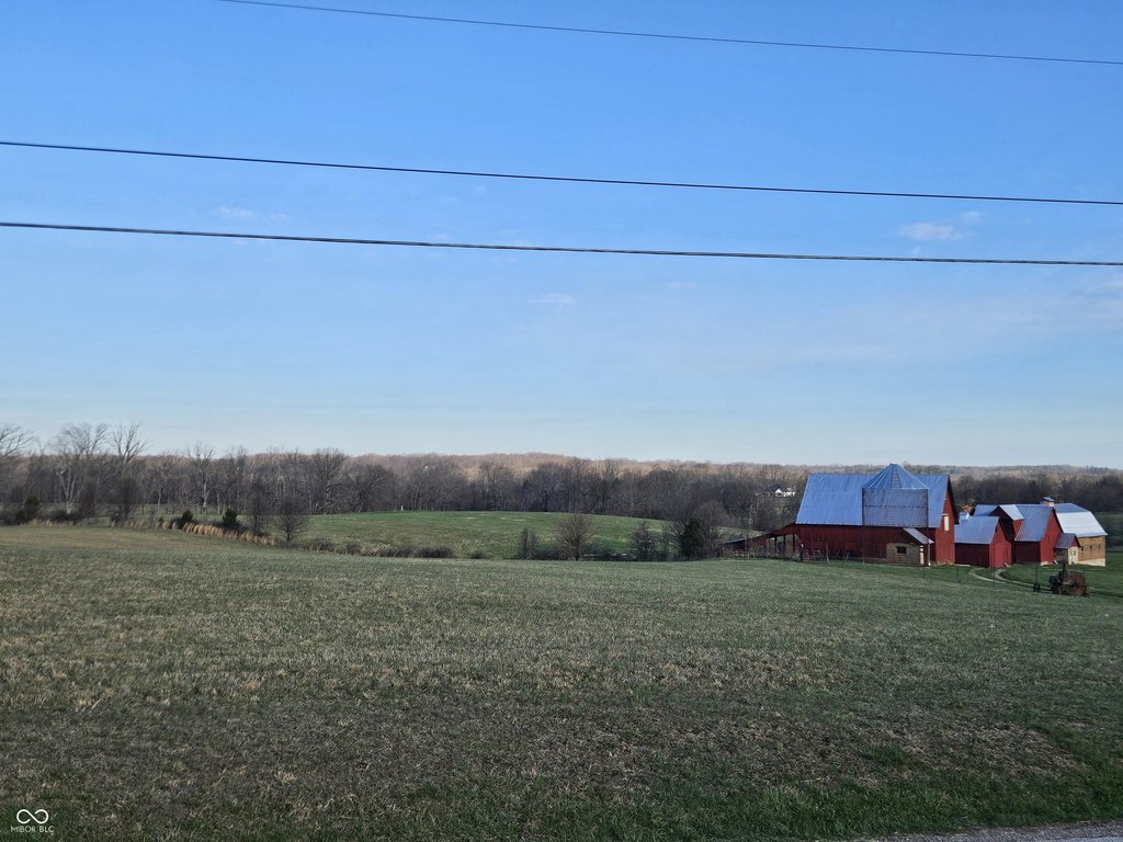 Picture 10