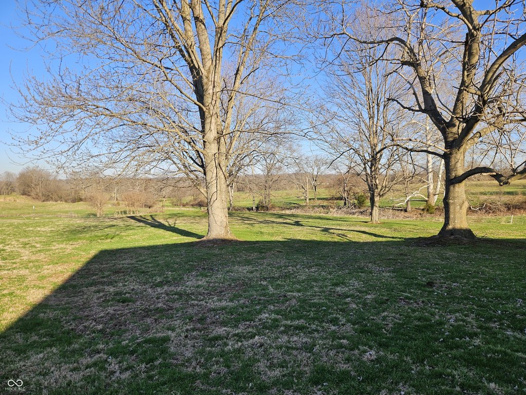 Picture 15
