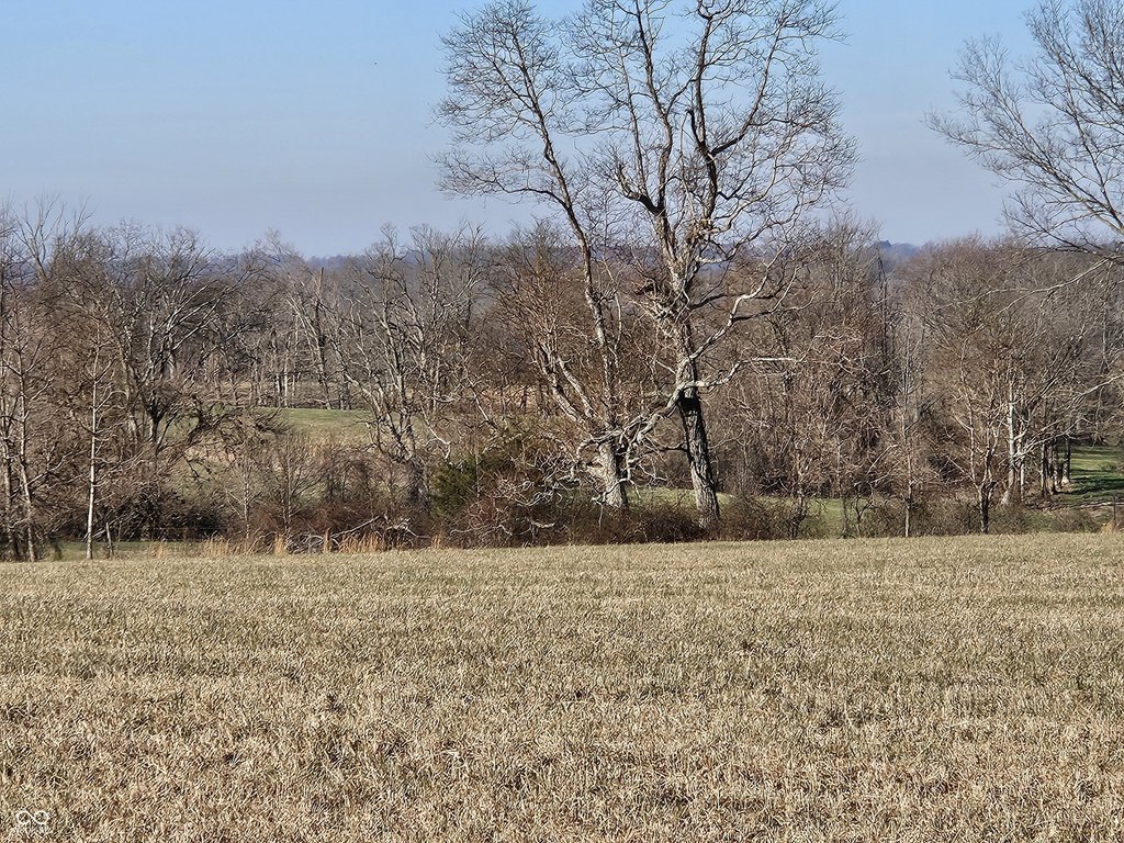 Picture 19
