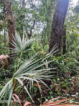 Land, Keystone Heights, FL