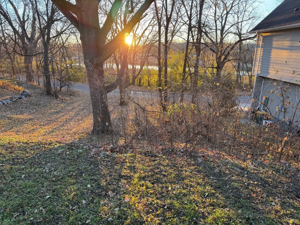 Picture 19