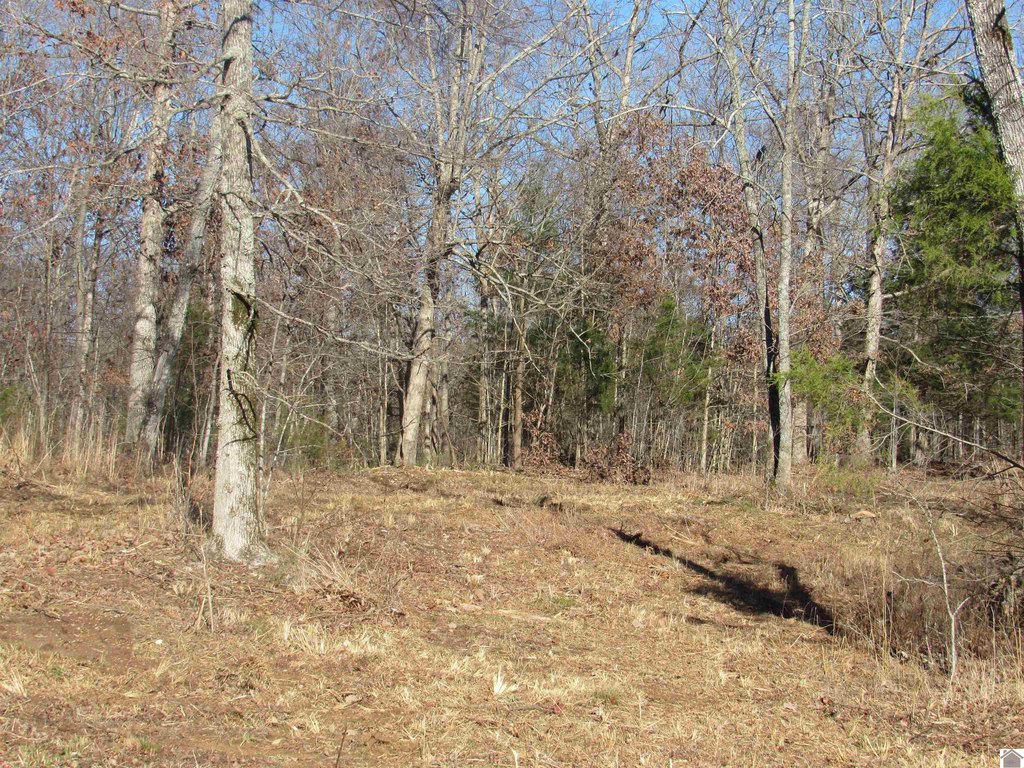 Picture 16