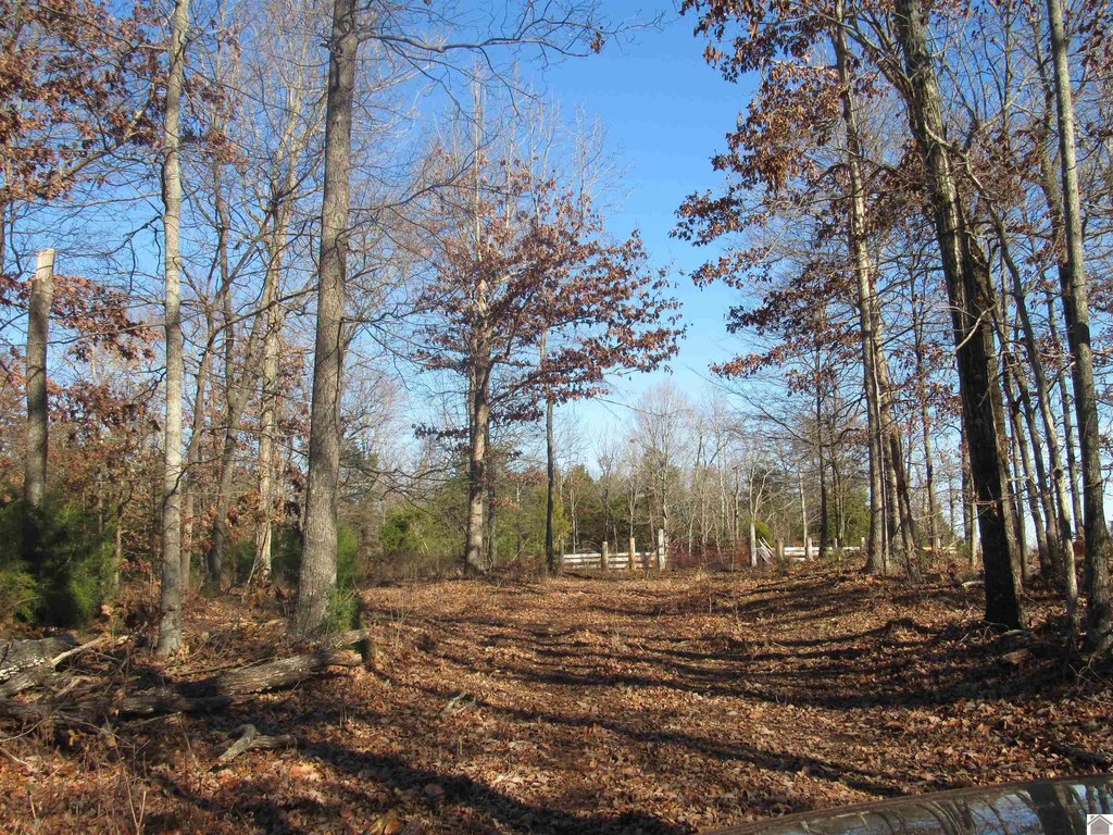 Picture 31