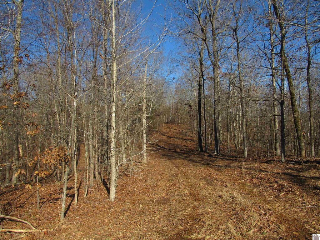 Picture 24