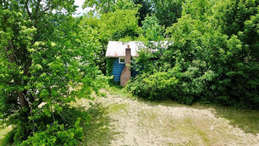 Picture 2