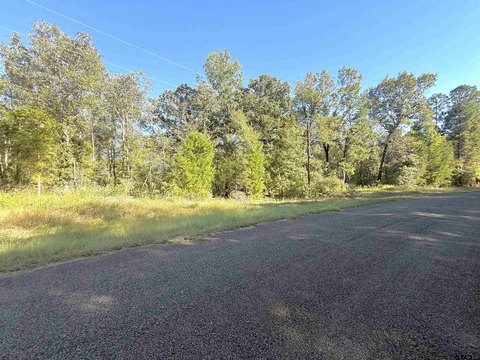 Land, Troup, TX