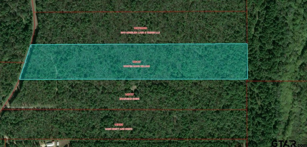 Picture 7
