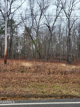 Crossville, TN Wooded Lot