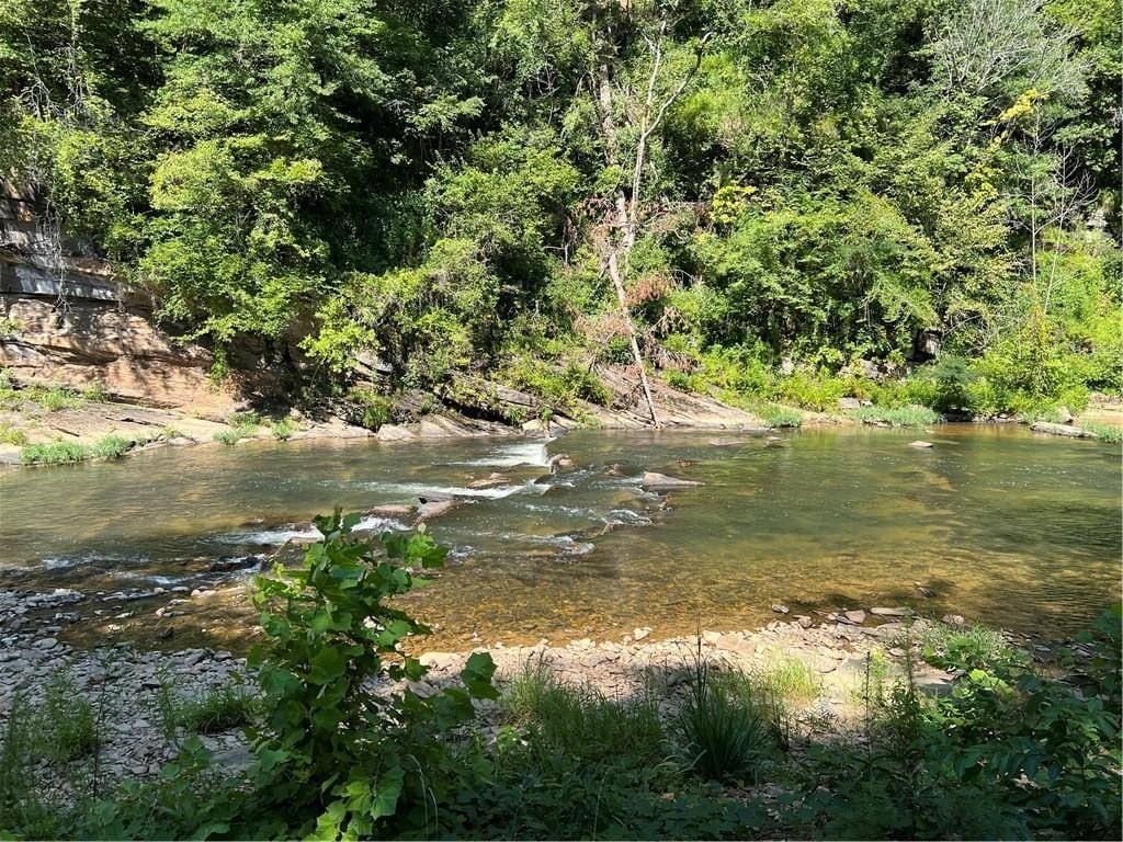 Picture 19