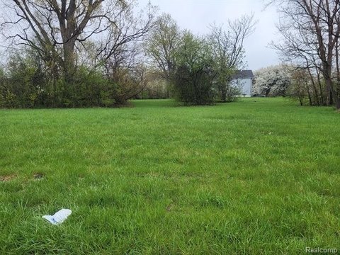 Detroit Land Investment Opportunity