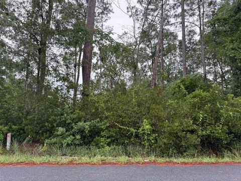LAND - OCALA, FL